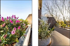 FOTO - Groenhof 177--32.jpg